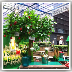 Evergreen factory outlets mini trees customize plastic fruits artificial plants fake apple tree for mall decor