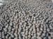 High Impact Toughness Forged Steel Grinding Balls