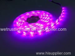 IP65 SMD 5050RGBW 60LED/m led soft strips