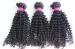 Full Cuticles Kinky Curly Brazilian Hair Extensions For Black Women