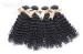 Kinky Weave Mongolian Curly Virgin Hair Extensions No Terrible Smell