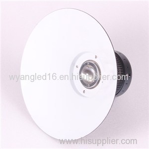 30W LED High Bay Light