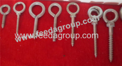 Galvanized long eye bolts