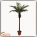 Needle Fern Fake Plants Green Leaves Artificial Kwai Palm Tree with fiberglass trunk for outdoors decoration