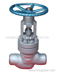 The power station Globe valve