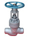 The power station Globe valve