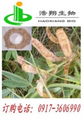 Cytisine HPLC 99% CAS#485-35-8 Haoxiang Bio