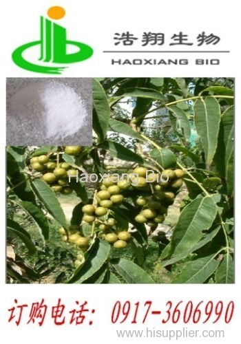 Oxymatrine 98% HPLC CAS#16837-52-8 Haoxiang Bio