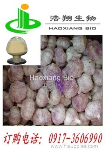 Garlic P.E. Allicin1.0% Alliin2.0% Haoxiang Bio
