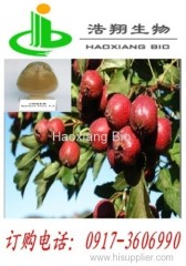 Hawthorn P.E.Hawthorn flavone 2%9% UV Haoxiang Bio