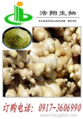 Ginger Extract Gingerol5% HPLC Haoxiang Bio