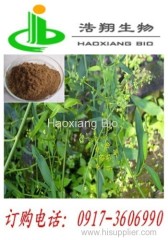 Bupleurum Extract Radix Bupleuri Haoxiang Bio