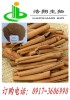 Cinnamon Bark Extract 5:1 10:1 15:1 20:1 10%-40% Cinnamon Polyphenols