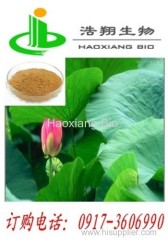 Lotus leaf P.E Nuciferine CAS#475-83-2 UV 2%; 10:1 10%; Total flavonoids (UV)