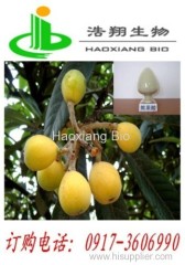 Loquat Leaf P.E.10% 20% 25% Ursolic CAS#77-52-1 HPLC