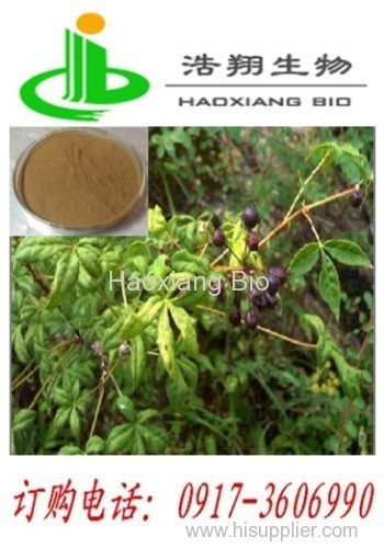 Siberian ginseng Extract Eleutheroside B and Eleutheroside E.0.8%1.5% HPLC