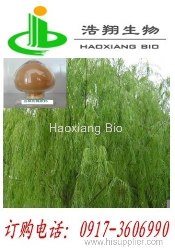 White willow bark P.E.CAS#84082-82-6 HPLC 10% 20% 40% 98% Salicin