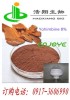 Yohimbe bark extract CAS#6221-32-1 HPLC 8% 10% 98%