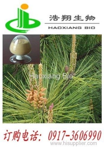 Pineneedle Extract Haoxiang Bio