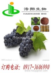 Grape Seed P.E.polyphenol 40% 60% 80% Proanthocyanidins 95% UV