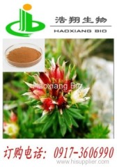 Cnidium Fruit P.E.Cnidiadin10%-90% HPLC Haoxiang Bio