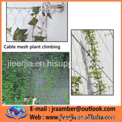 plants cables cable railing weave lawn park mesh / garden AISI 316 X-tend mesh