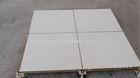 Fine Workmanship FS800 Anti Static Raised Floor Tiles 600 X 600 X 35 mm