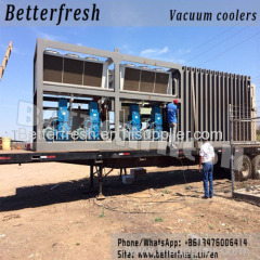 Betterfresh Agricuture Refrigeration Pallets Vegetable Vacuum Cooling Machine for Fresh Products