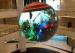 Spinning Led Ball Sphere Led Display Video Full Color For Indoor