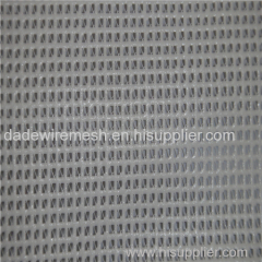 Anping Dade Fiberglass mesh netting