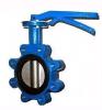 Lug type butterfly valve