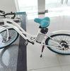 26 * 2.125 tiyre pedal assist electric bike for women Steel painting Mudguard