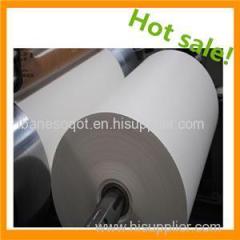 Grade A Pe Coated Paper Cup Paper With Printing In Roll