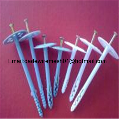 Dade plastic Insulation nails/Heat preservation nail