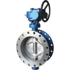 Worm gear hard seal butterfly valve