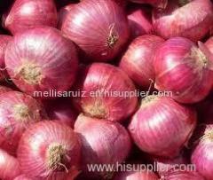 Fresh onion Fresh onion