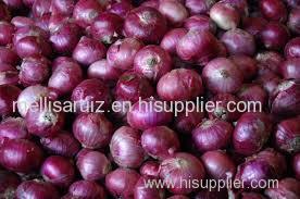 Fresh onion Fresh onion