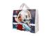 Handle Woven Shopping Bags For Supermarket / Shopping Mall / Grocery 5 Kg Capacity