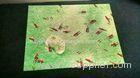 Shopping Mall 3D Interactive Floor Projectors All In One System Windows 7 OS