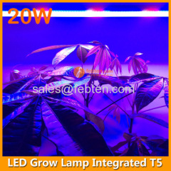 20W LED red blue grow lighting integrated T5 3ft