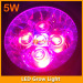 Red blue 5W LED grow bulb