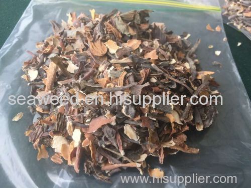 Peruvian Brown Dried Seaweed Macrocystis Integrifolia