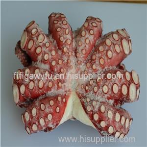 Frozen Octopus Product Product Product