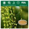 100% Natural salicin FDA white willow bark extract