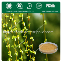 100% Natural White Willow Bark Extract 15% Salicin with competitive price