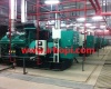 Diesel Genset Iran Supplier