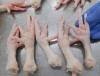 GRADE A PROCESSED CHICKEN FEET