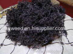 seaweed chondracanthus chamissoi dried