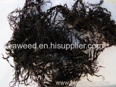 SEAWEEDS SUGINORI DRIEDf or human consumption for INDUSTRY