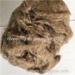 Mink Cashmere Product Product Product